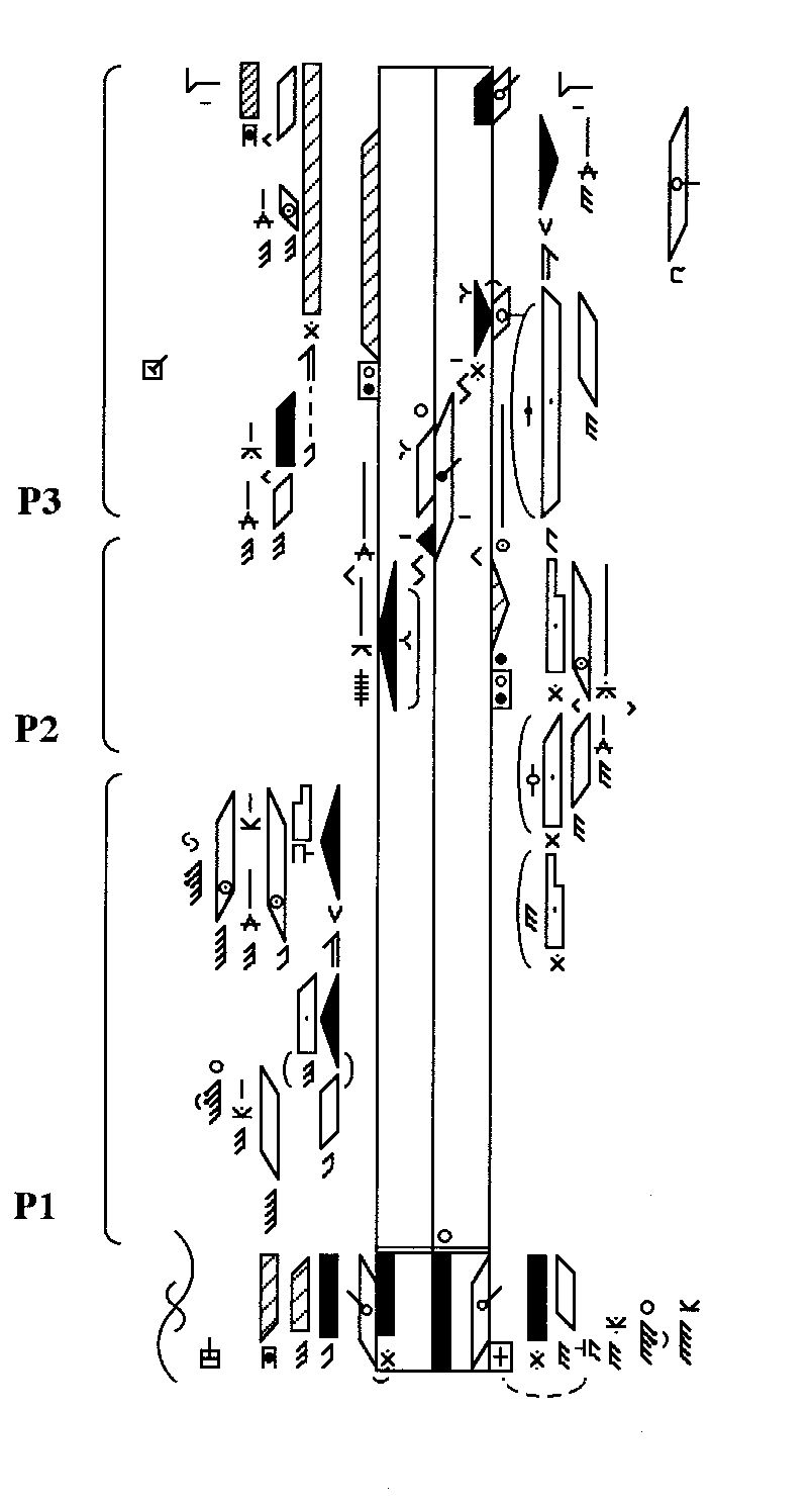 Figure 7: Notation score of sequence in P49