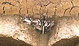 Inner ditch, area 3, with filling of stones removed.