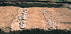 area 3, line of wall.