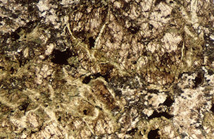 Figure 2a and 2b