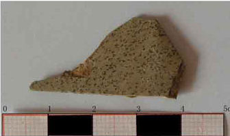 Slide 8b