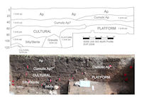 Figure 21