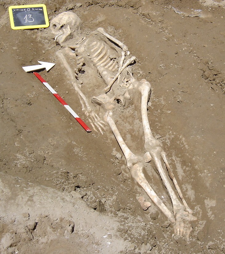 Figure 118