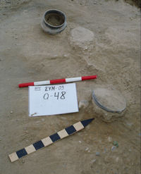 Figure 81