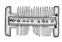Type 13 example