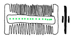Type 13 - basic outline