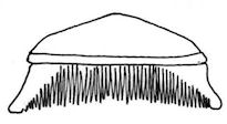Type 1a - basic outline