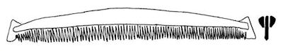 Type 7 - basic outline