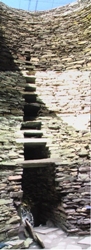 Figure 29