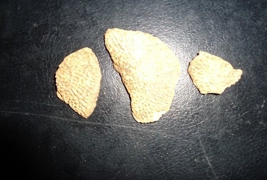 Figure 5a