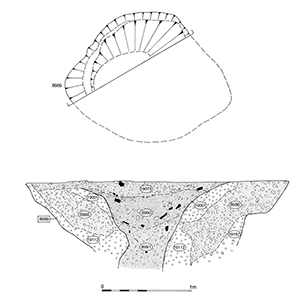 Figure124