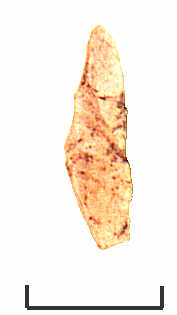 photo no 113.jpg