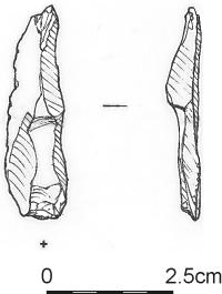 110.jpg
