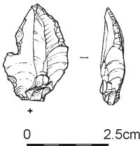 117.jpg
