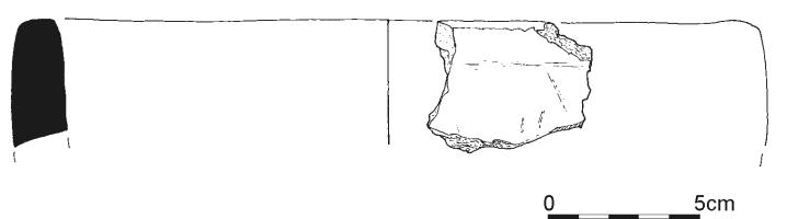 1409.jpg