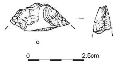 145.jpg