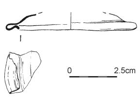 1510.jpg