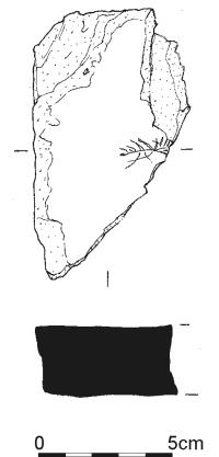 1565.jpg