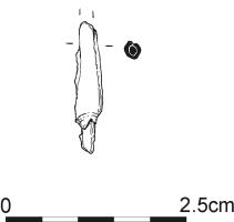 1633.jpg