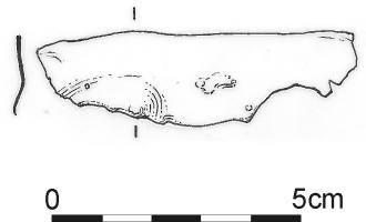 1652.jpg