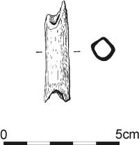 1670.jpg