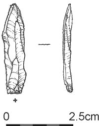 169.jpg
