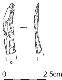 185.jpg