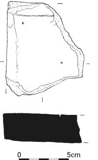 2294.jpg