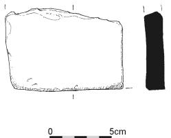 2295.jpg