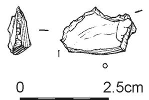347.jpg