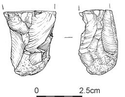 351.jpg