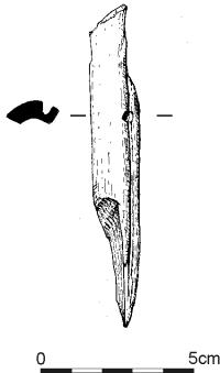 397.jpg