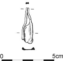 447.jpg