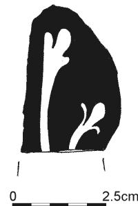 577.jpg