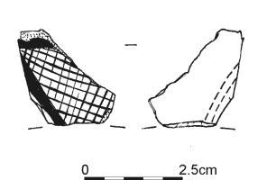 596.jpg
