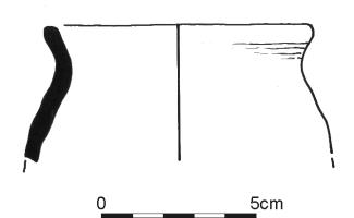 784.jpg