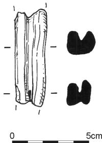 786.jpg