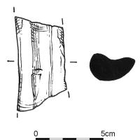 795.jpg
