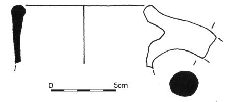 805.jpg