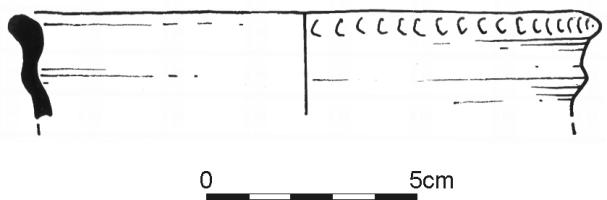 819.jpg