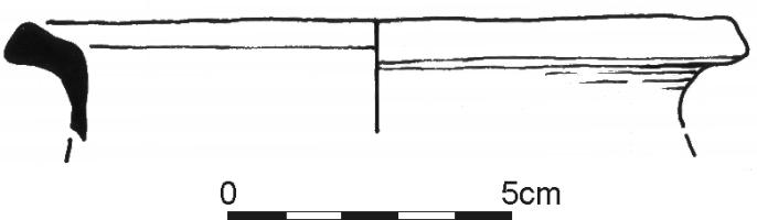 843.jpg