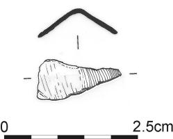 864.jpg
