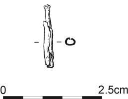 879.jpg