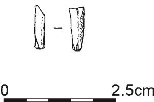 892.jpg