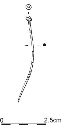 894.jpg