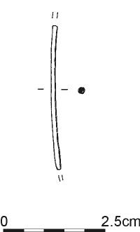 895.jpg