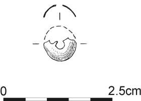932.jpg