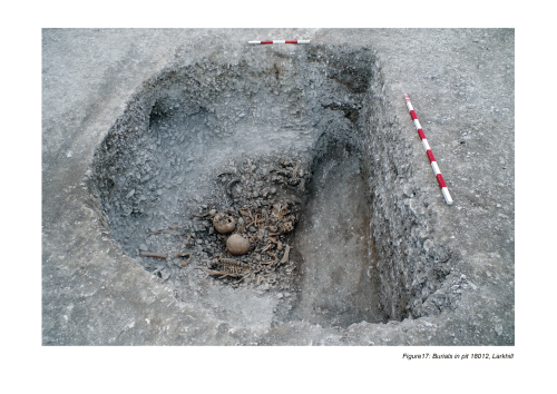 Figure 17