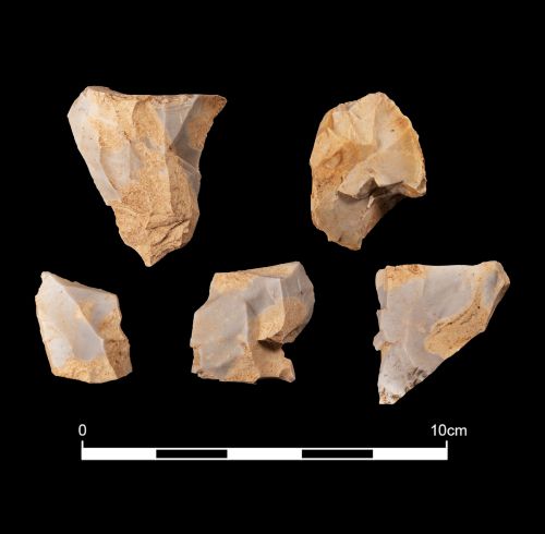 Figure 13