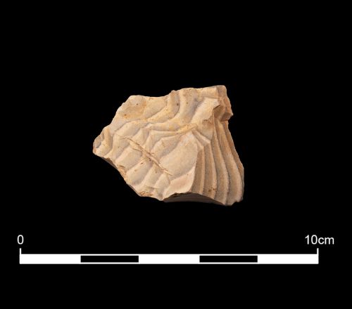 Figure 14
